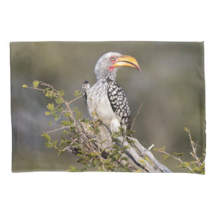 Gelbschnabelhecht Kissenbezug