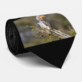 Gelbschnabelhecht Krawatte (Gerollt)