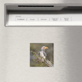 Gelbschnabelhecht Magnet (In Situ (Geschirrspüler))