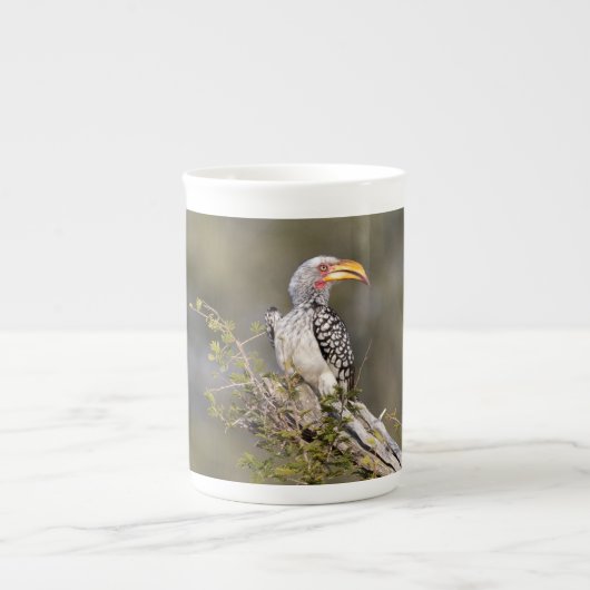 Gelbschnabelhecht Porzellantasse (Vorderseite)