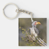 Gelbschnabelhecht Schlüsselanhänger (Vorderseite)