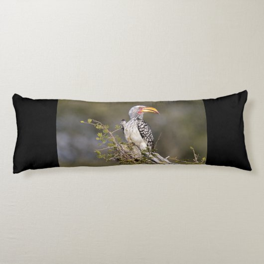 Gelbschnabelhecht Seitenschläferkissen (Rückseite)