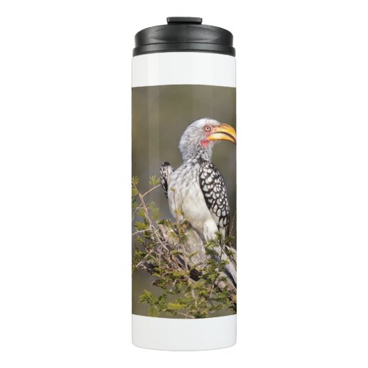 Gelbschnabelhecht Thermosbecher (Vorderseite)