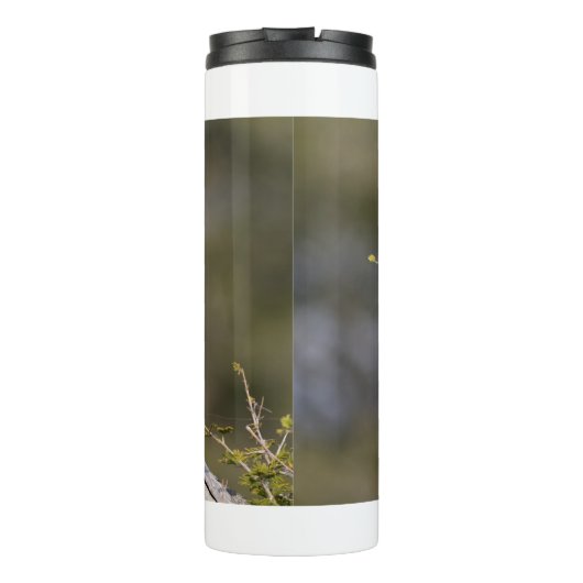 Gelbschnabelhecht Thermosbecher (Rückseite)