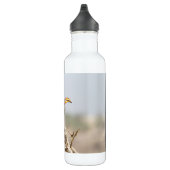 Gelbschnabelhecht Trinkflasche (Rechts)