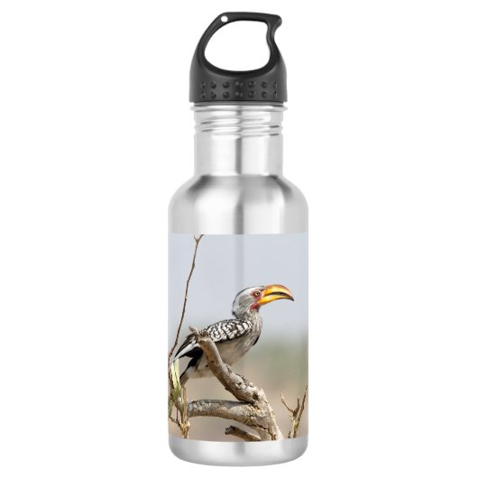 Gelbschnabelhecht Trinkflasche (Vorderseite)
