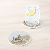 Gelbschnabelhecht Untersetzer (Seite)