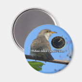 Gelbschnabelmagnet Magnet (Vorderseite/Rückseite)