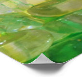 Gelbschnabelposter Poster (Ecke)