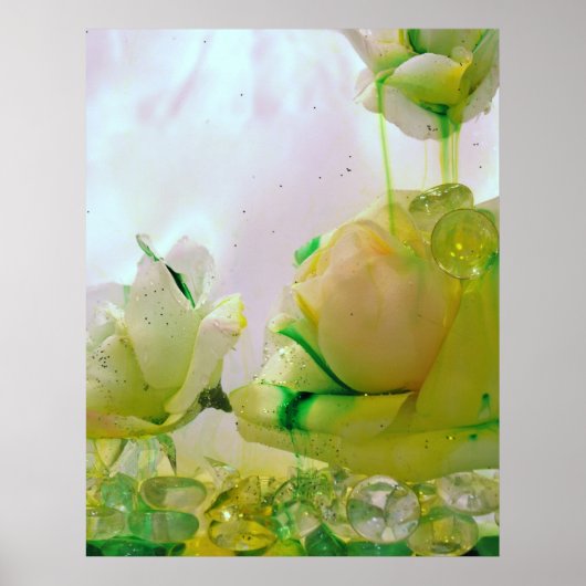 Gelbschnabelposter Poster (Vorne)