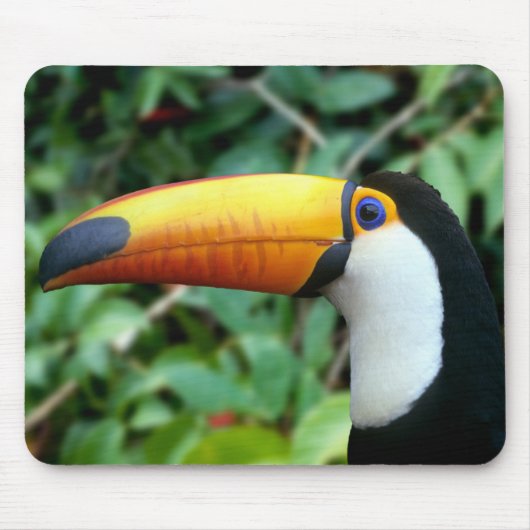 Gelbschnabeltukan Mousepad (Vorne)