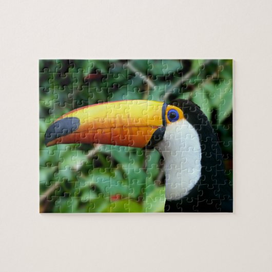 Gelbschnabeltukan Puzzle (Horizontal)