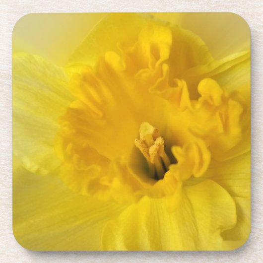 Gelbschnauze Getränkeuntersetzer (Vorderseite)