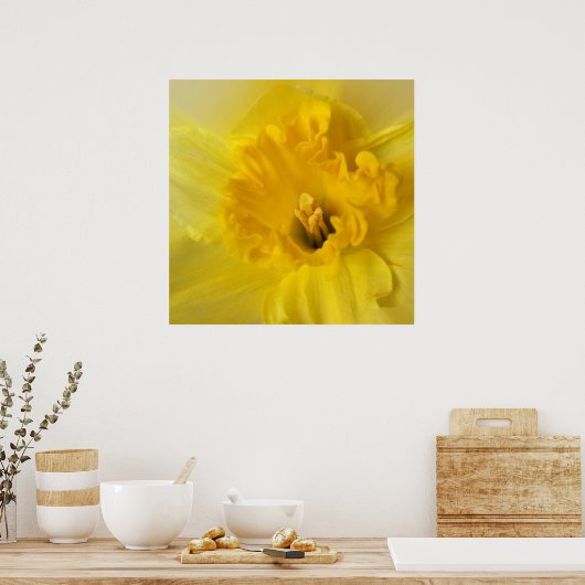 Gelbschnauze Poster (Küche)