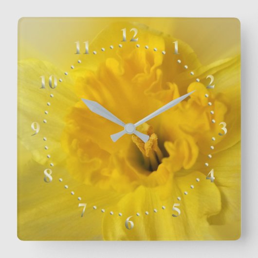 Gelbschnauze Quadratische Wanduhr (Vorderseite)
