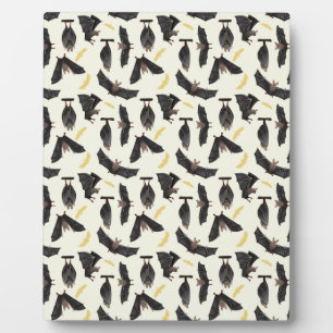 Gelbschwanz Fotoplatte