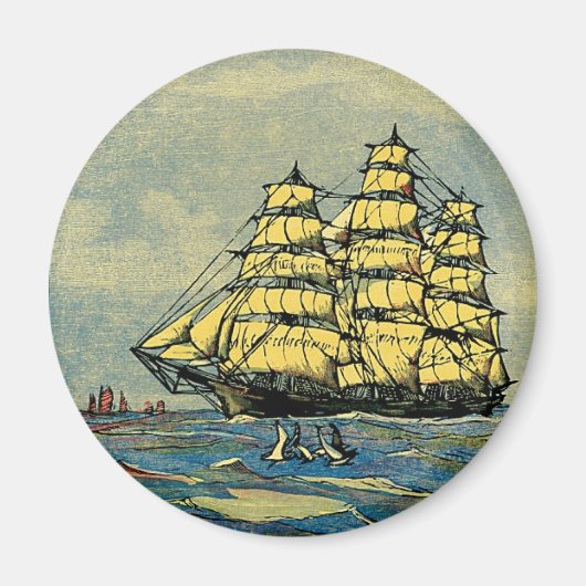 Gelbschwanz Magnet (Vorne)
