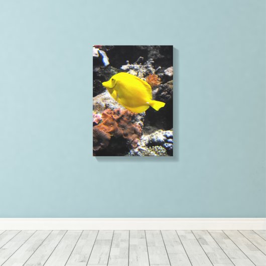 Gelbschwanzfisch Leinwanddruck (Insitu (Holzboden))