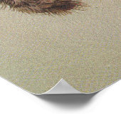 Gelbschwanzkakadu Poster (Ecke)