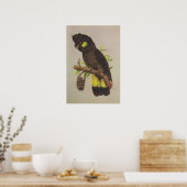Gelbschwanzkakadu Poster (Küche)
