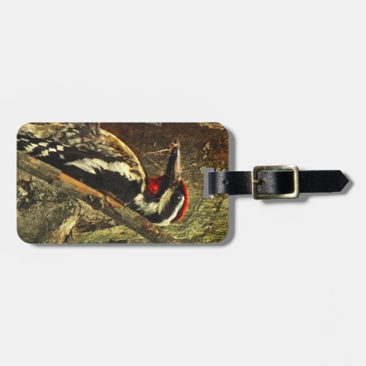 Gelbschwanzmarkierung Gepäckanhänger (Vorderseite horizontal)