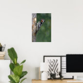 Gelbschwanzsauger (männlich) poster (Heimbüro)