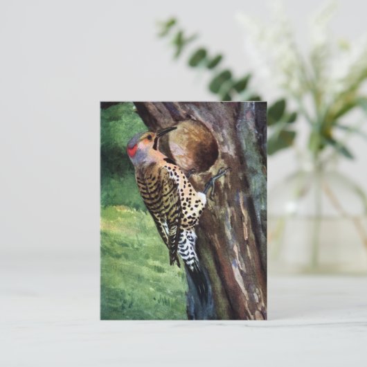 Gelbschwingel-Flicker und Baumkavität Postkarte (Stehend Vorderseite)