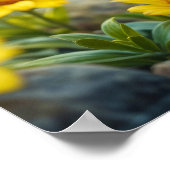 Gelbschwingendes Hähnchenblau - mit Augen Vogel Poster (Ecke)