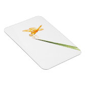 Gelbschwingendrachenfliege Magnet (Rechte Seite)