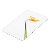 Gelbschwingendrachenfliege Magnet (Linke Seite)