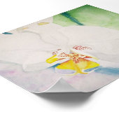 Gelbspecht Poster (Ecke)