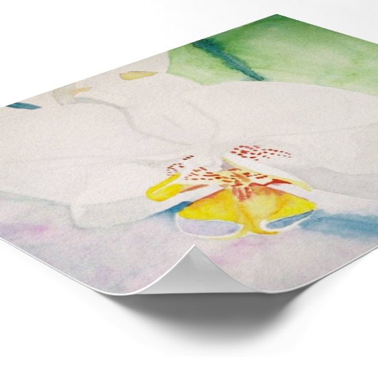 Gelbspecht Poster (Ecke)