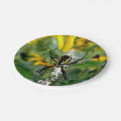 Gelbspinne Pappteller (Schrägansicht)