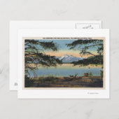 Gelbstein, WY - Gelbsteinsee und Colter Postkarte (Vorne/Hinten)