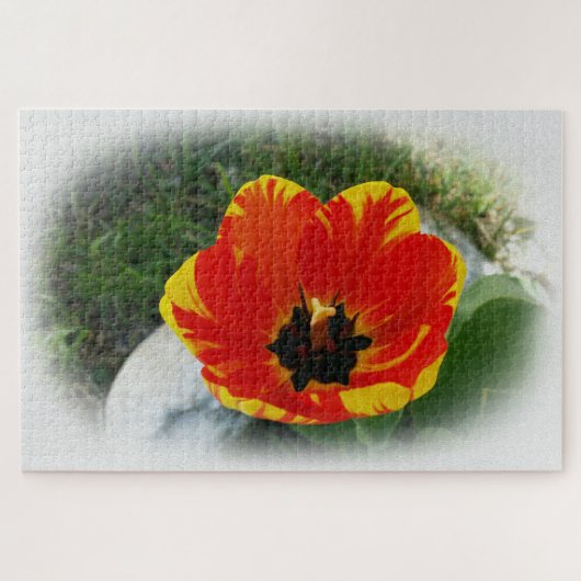 Gelbtulpe Puzzle (Horizontal)