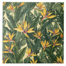 Gelbvogel der Paradischen Blume