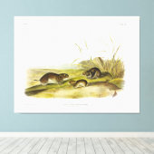 Gelbwangenmäuse, Taiga Vole von Audubon Leinwanddruck (Insitu (Holzboden))