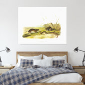 Gelbwangenmäuse, Taiga Vole von Audubon Leinwanddruck (Insitu (Schlafzimmer))