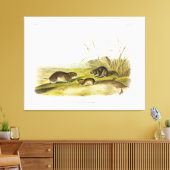 Gelbwangenmäuse, Taiga Vole von Audubon Leinwanddruck (Insitu (Wohnzimmer))