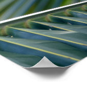 Gelbwurzel in einer Palme Poster (Ecke)