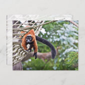 Geld für Bäume Postkarte (Vorne/Hinten)