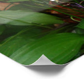 Geld wird alles Weisheit Sprichwort Poster tun (Ecke)