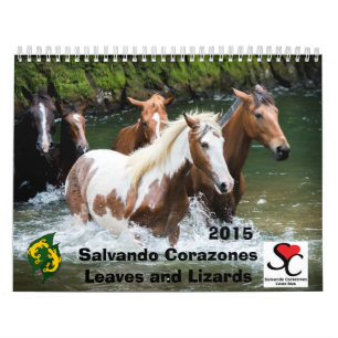 Geldbeschaffer-Kalender Salvando Corazones 2015 Kalender