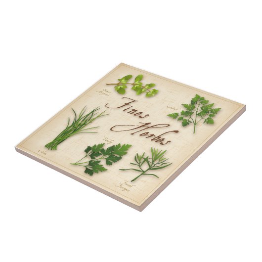 Geldbußen gegen Herbes Keramik Tile Fliese (Seite)