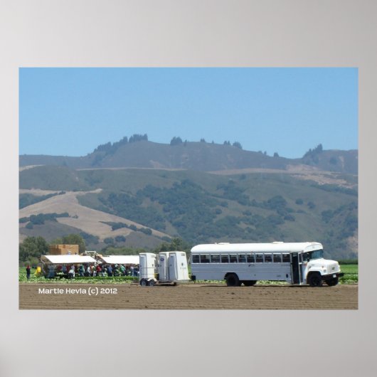 Geldmigranten Poster (Vorne)