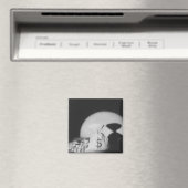 Geldsack Magnet (In Situ (Geschirrspüler))