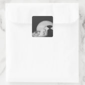 Geldsack Quadratischer Aufkleber (Tasche)