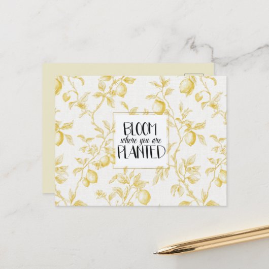 Gele Zitronen Früchte Blühen Chic Postkarte (Vorderseite/Rückseite Beispiel)