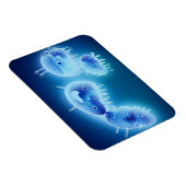 Gelee 2013 magnet (Rechte Seite)