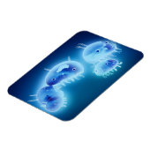 Gelee 2013 magnet (Linke Seite)